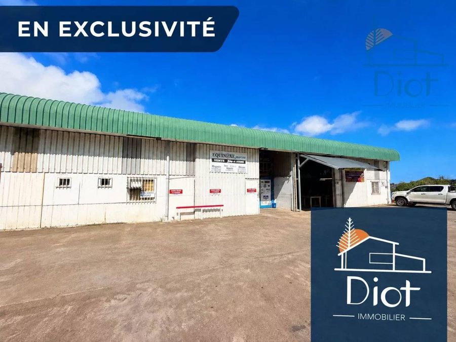 Entrepôt 330 m², Ducos — 39 900 000 CFP